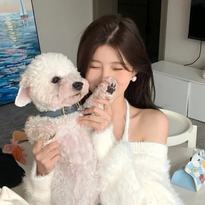 文豪野犬第三季