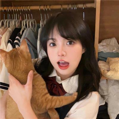 鳄鱼群